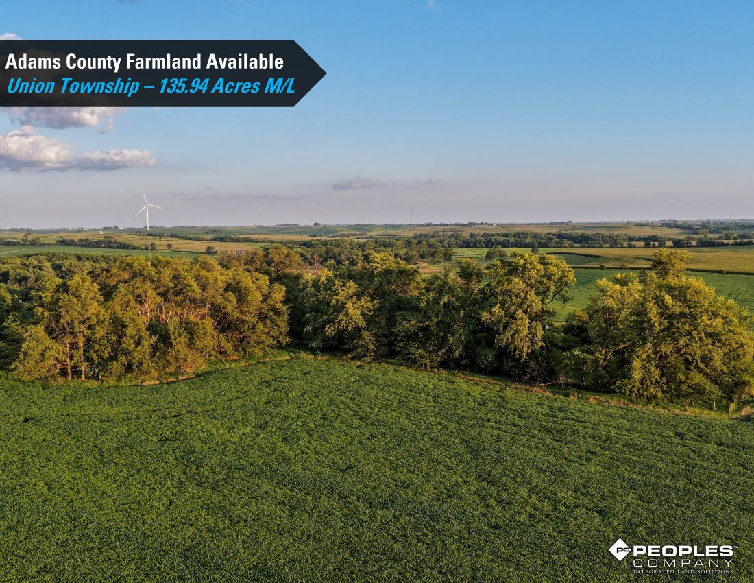 Listing Photo: Adams-County-Iowa-Farmland-Available-136-Acres-Blazek-Estate-19707 (25)